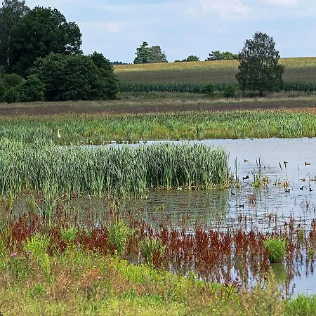 Alte Försterei Apartment *
