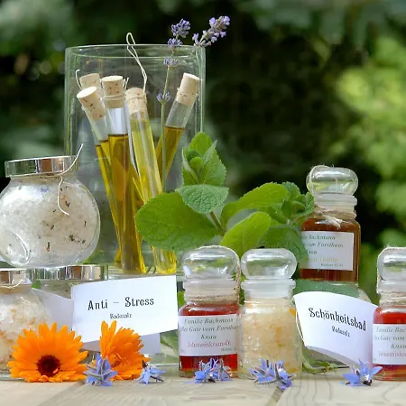 Alte Försterei Apartment Knau